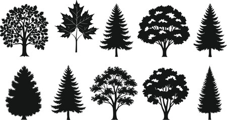 Fototapeta premium Vector Collection of Various Black Tree Silhouettes Including Pine, Oak, and Fir for Nature Landscape Design Elements (
