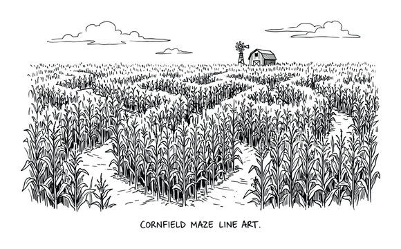 Cornfield maze line art illustration featuring a winding pathway, barn, windmill, and clouds in a hand-drawn style on a field.