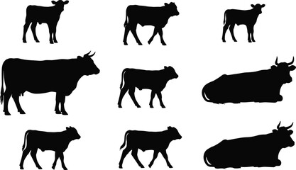 Cow and calf silhouettes collection showing farm livestock in standing and resting poses, black animal vector set isolated on white background © Ideasy Mind