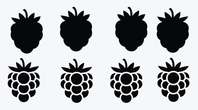 blackberry fruit pattern illustration fresh healthy organic