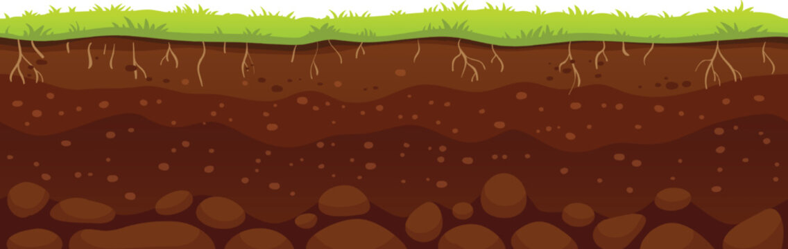 Cartoon illustration of soil layers with grass growing on top, roots visible underground, and stones at the bottom, representing a healthy ecosystem
