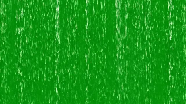 Close-up of green grass texture background.