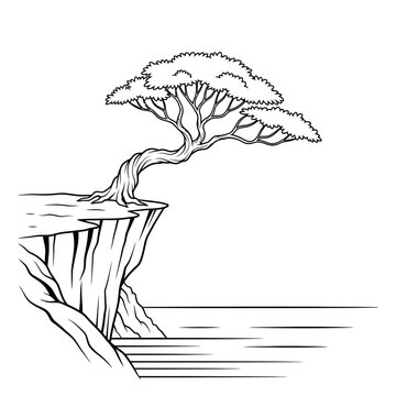 Lone windswept tree clinging to cliff edge over calm sea, black and white line art.