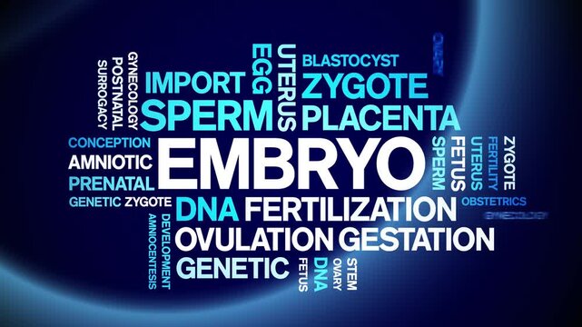 Embryo animated word cloud-text design animation tag kinetic typography seamless loop.