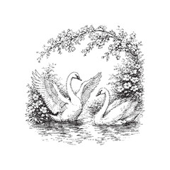 Elegant Swans with Blossoms Vintage Ink Illustration © purify