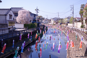 栃木市　蔵の街栃木と巴波川の鯉のぼり