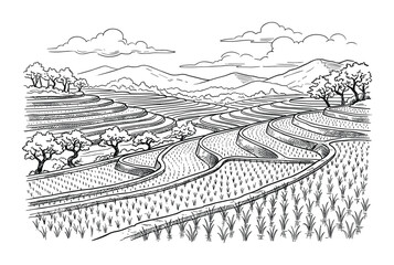 Fototapeta premium Serene rice terraces illustration, showcasing detailed agricultural landscape, serene mountains, and cloudy sky backdrop.