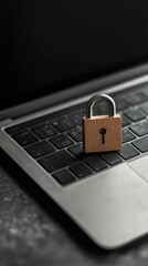 Digital security lock protecting laptop data and personal privacy on computer keyboard.