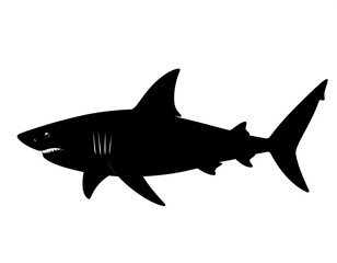 Obraz premium A black silhouette of a shark swimming