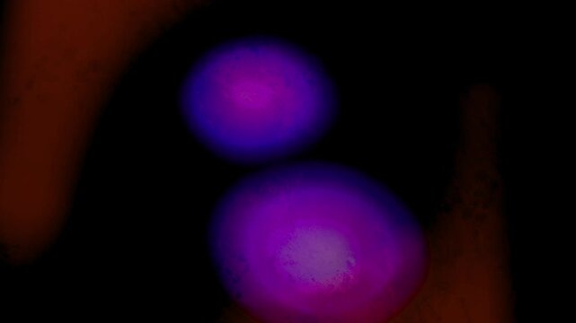 Light Transition, Abstract Neon Lights Blur in Deep Night