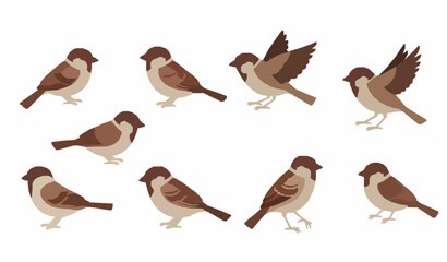 Obraz premium Minimal cartoon sparrow bird vector icons set on white