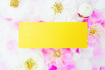 水に浮かべた梅の生花を背景にした黄色のメッセージフレームのモックアップ