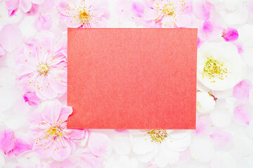 水に浮かべた梅の花を背景にした赤色のメッセージスペースのモックアップ