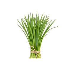 Fototapeta premium Fresh green chives bunch tied with rustic twine string on checkered background
