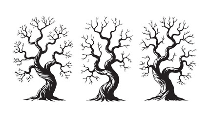 Obraz premium Hand-drawn illustration of three gnarled, bare trees, their twisted branches reaching upwards in a stark, monochrome sketch, perfect for mystical or spooky designs