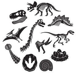 A collection of dinosaur skeletons, fossils, and eggs, including Triceratops, Stegosaurus, and Pterodactyl, illustrating prehistoric life and paleontology. © Riki