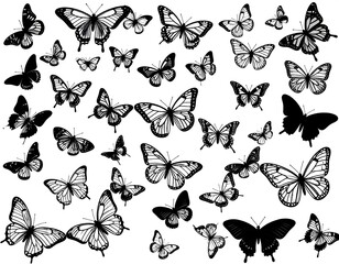 A collection of black and white butterflies on a white background