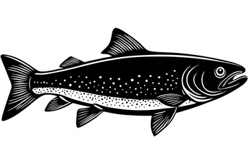 Fish isolated on white background