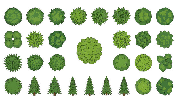 Top view forest trees and park bushes vector icon set isolated on transparent background