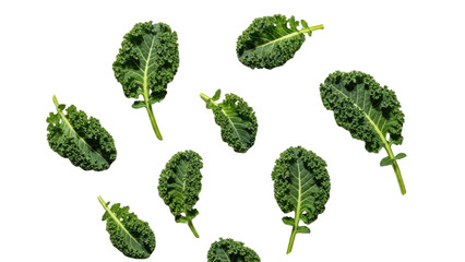 Fresh Green Curly Kale Leaves Scattered on White Background