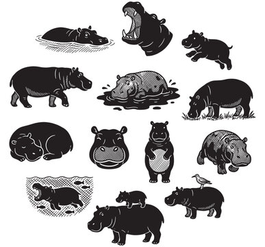 Collection of black and white illustrations featuring hippos in various poses and activities, including swimming, walking, eating, and interacting with their environment.
