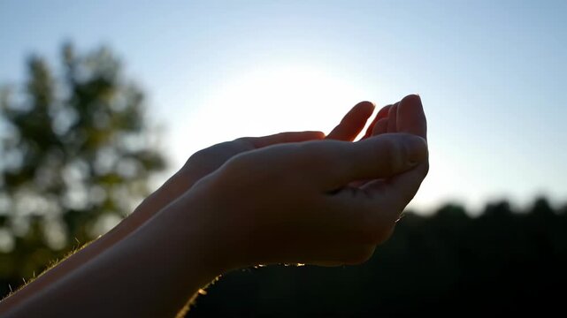 Hands Reaching for Sunlight in Nature.