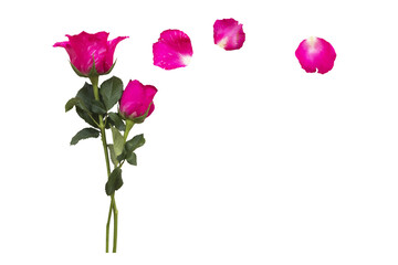 Naklejka premium pink flowers rose in love valentine day arrangement flat lay postcard style 