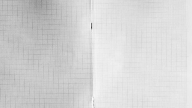 Two Pages of Graph Paper Joined Together grid notebook