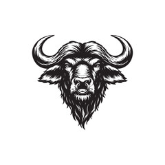 Fototapeta premium White And Black Buffalo Head