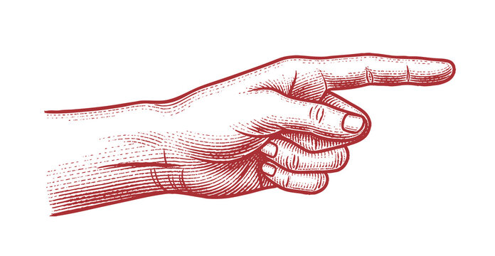 Vector hand with pointing finger in line engraving style