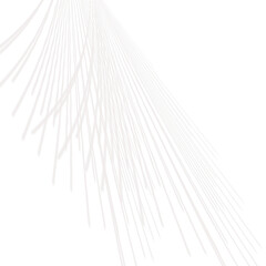 Abstract white lines radiating design isolated on transparent background