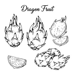 Fototapeta premium Set of dragon fruit, buah naga illustration hand drawn