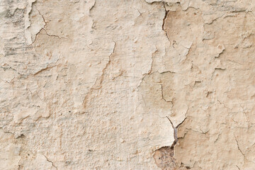 Fototapeta premium Light Gray Stucco Wall Texture. Abstract Background