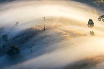 Landscape of Morning Mist with Mountain Layer. mountain ridge and clouds in rural jungle bush forest