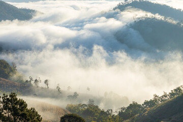 Landscape of Morning Mist with Mountain Layer. mountain ridge and clouds in rural jungle bush forest