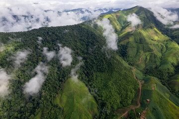 Landscape of Morning Mist with Mountain Layer. mountain ridge and clouds in rural jungle bush forest