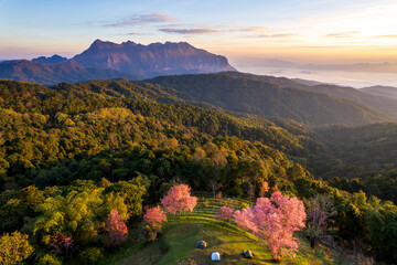 Doi Mae Taman is beautiful.Camping on the mountain.