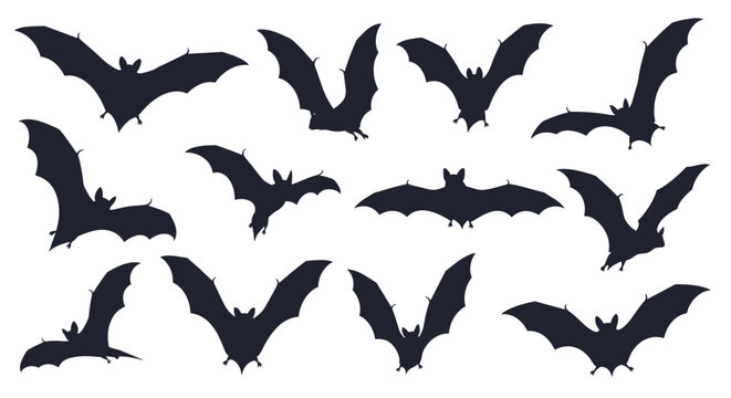 Collection of fifteen different black bat silhouettes in various flying poses isolated on a white background for halloween themes.