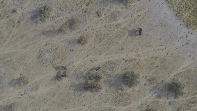 Aerial, Kazuma National Park, Botswana