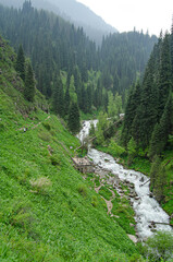 Hiking through the Trans-Ili Alatau: Wild River and Evergreen Forest