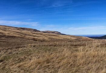 Fototapeta premium Autumn walks in the autumn park in the morning hours in the alpine area of the mountain range