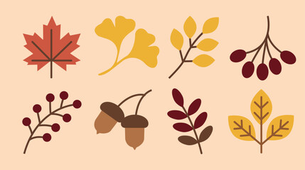 Fototapeta premium Flat vector autumn leaves and berries set featuring maple leaf and acorns,fall season foliage collection for thanksgiving decoration and pattern design