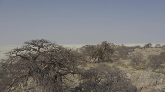 Aerial Above Kubu Island, Botswana