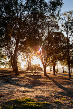 Picnic table at campground in Australia with sunlight starburst through trees