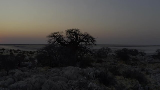 Aerial Above Kubu Island, Botswana