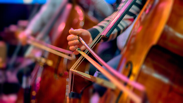 A cellist in an orchestra plays at a concert.