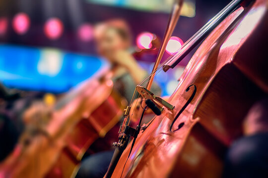 A cellist in an orchestra plays at a concert.