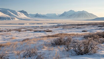 Expansive Arctic Tundra Landscape Under a Clear Sky with Snow-Capped Mountains in the Distance