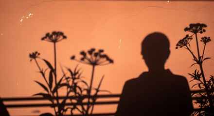 Naklejka premium Silhouette of person standing with plants at sunset