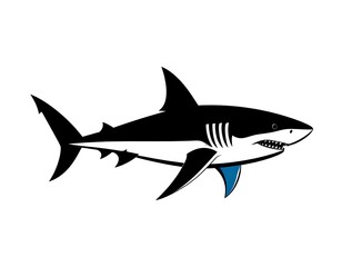 Fototapeta premium A black and white cartoon shark with blue fins swims right